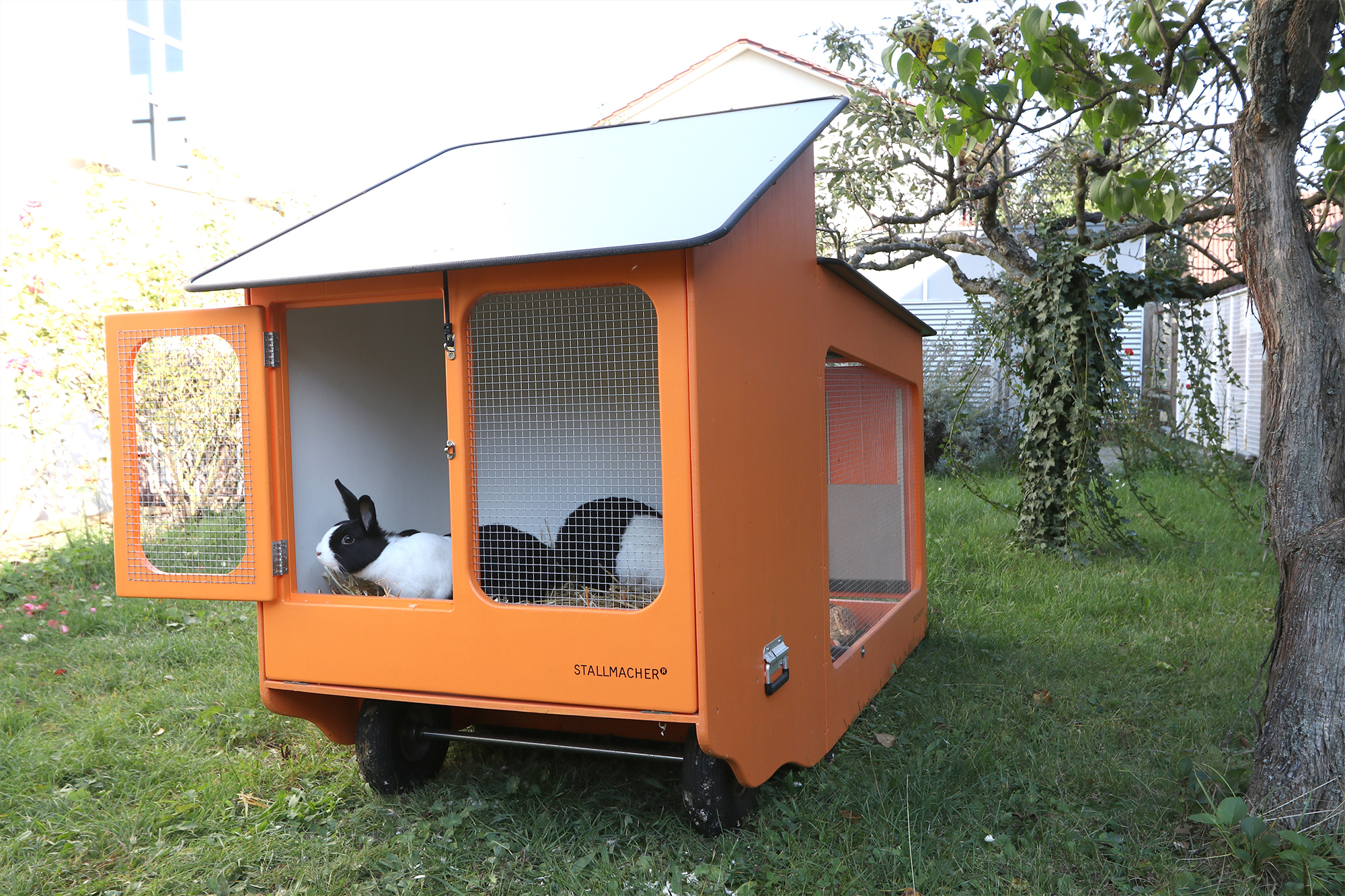 Mobiler Hühnerstall mit Kaninchen