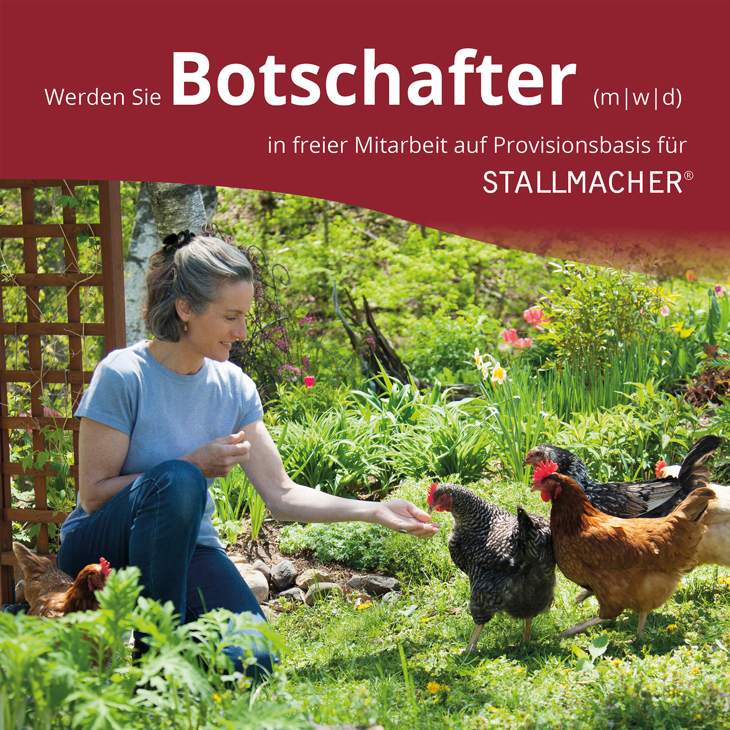 Hühnerstall