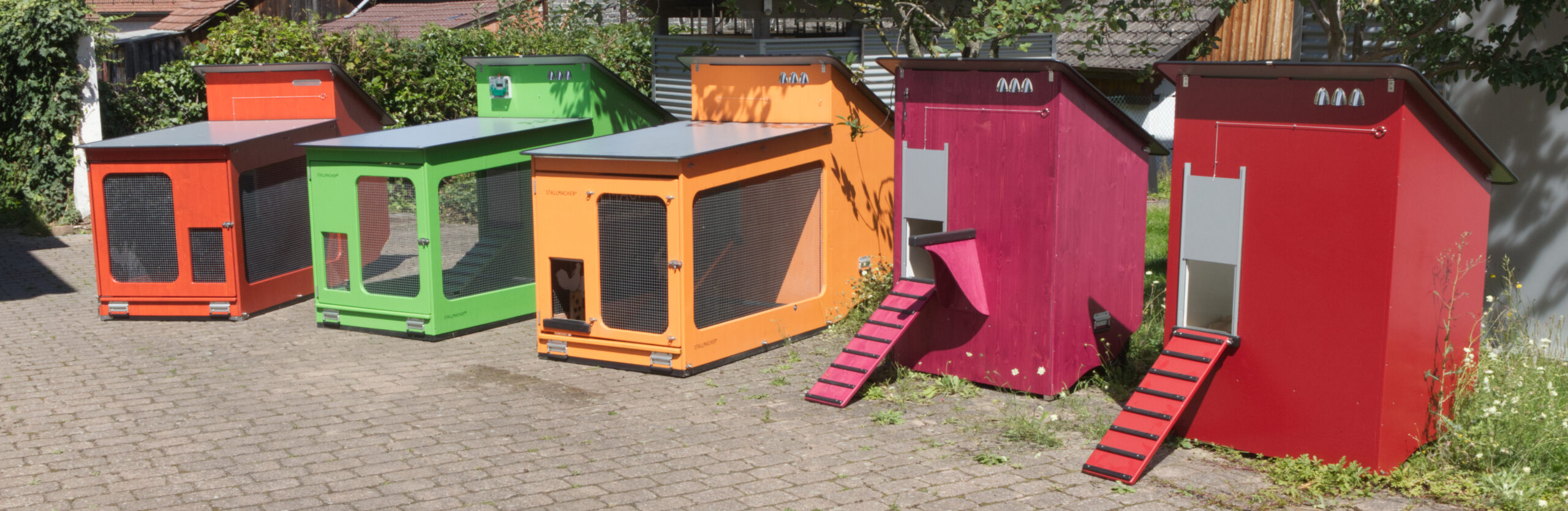 Hühnerstall für 6 Hühner Compact-Star-Max