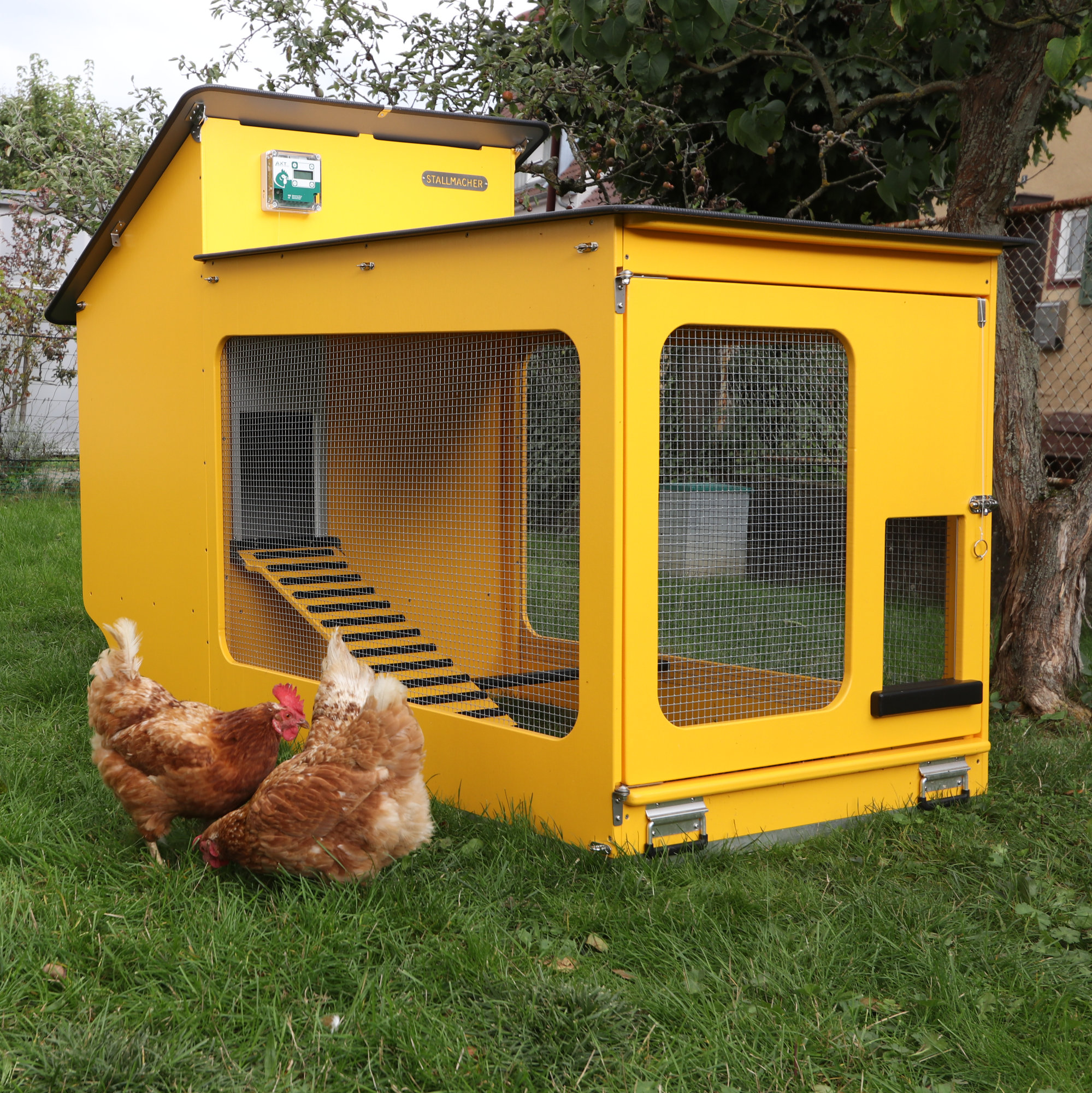 Hühnerstall mit Hennen