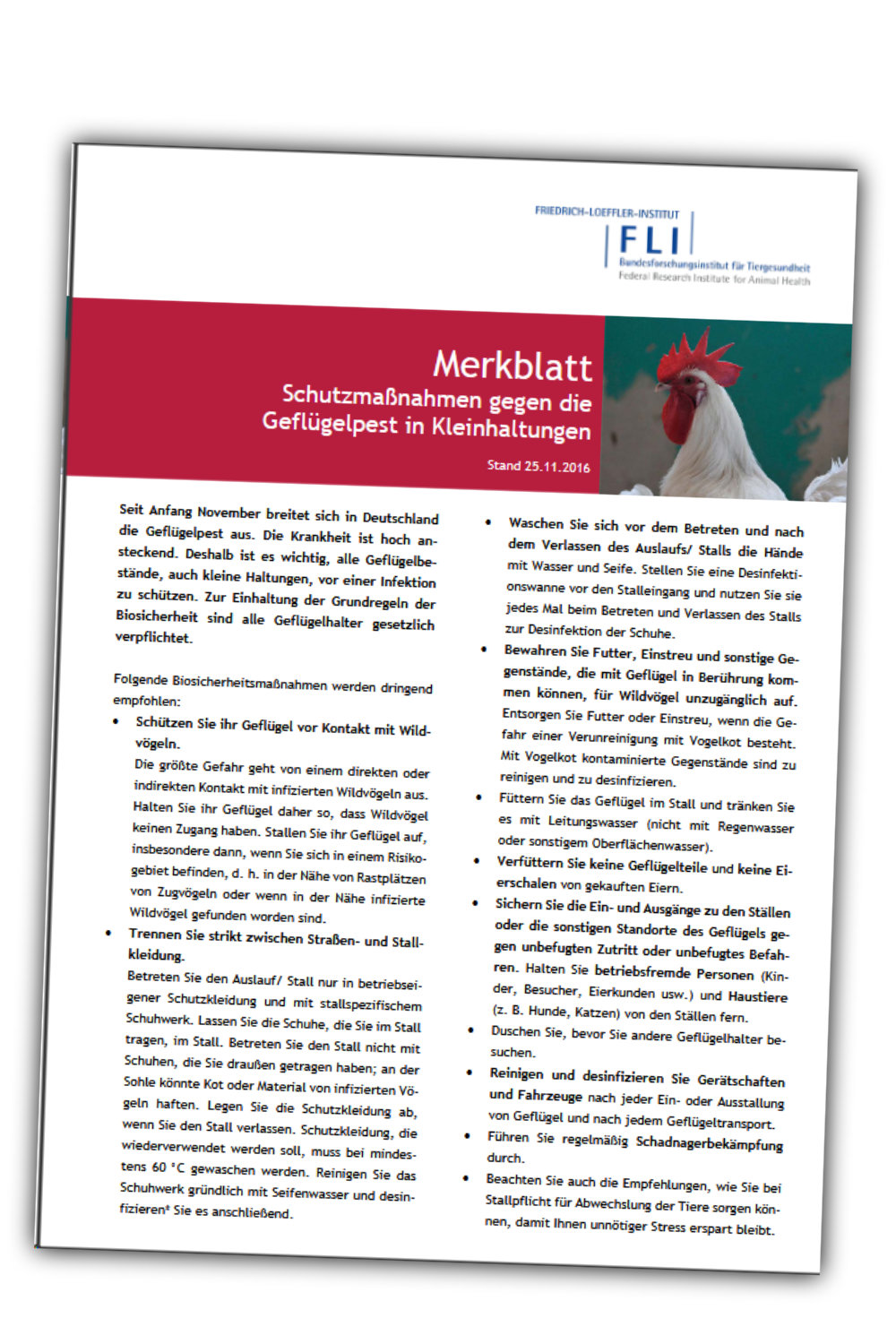 Merkblatt Kurier-Österreich